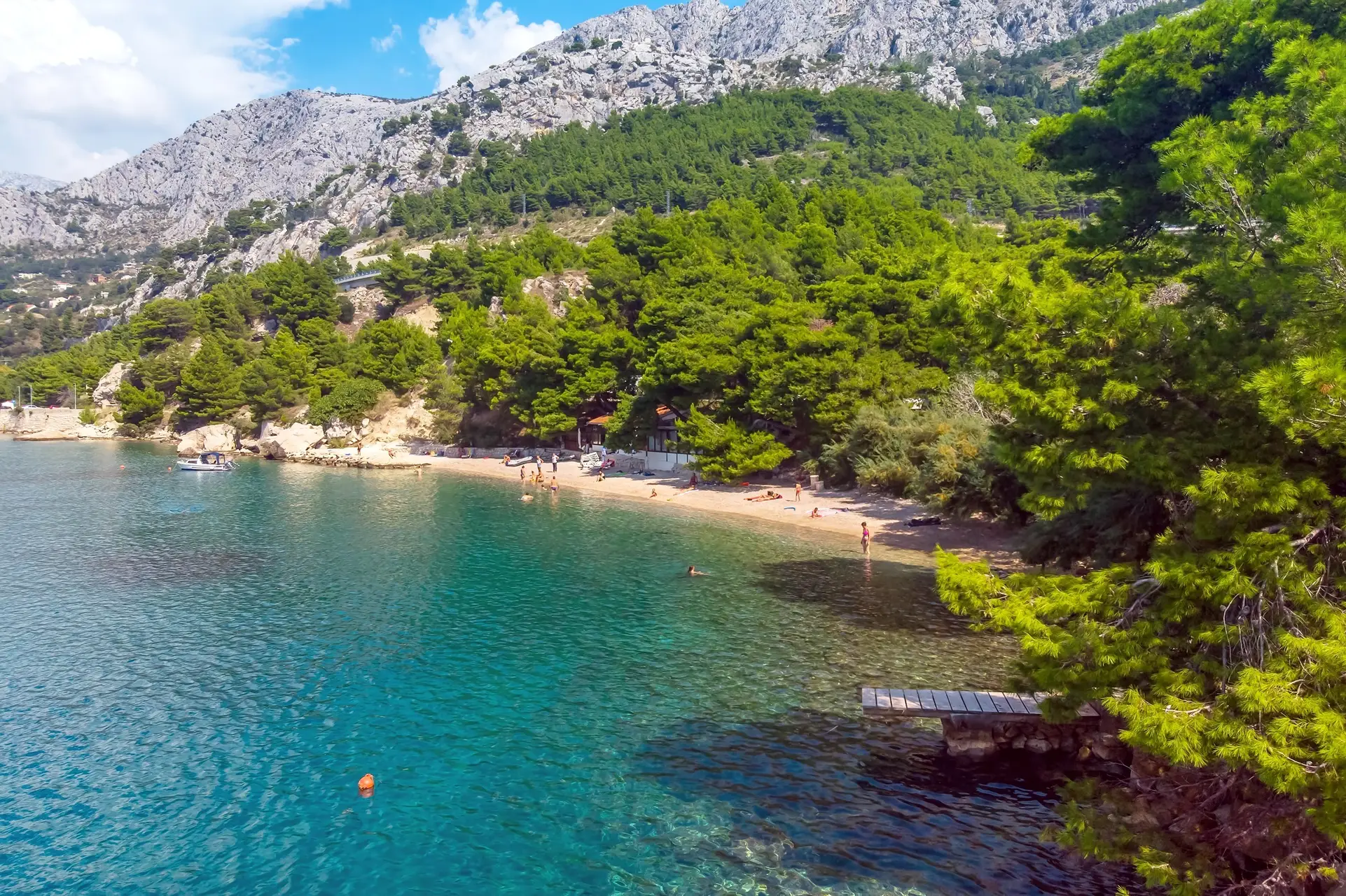 beach sourounded by the forrest