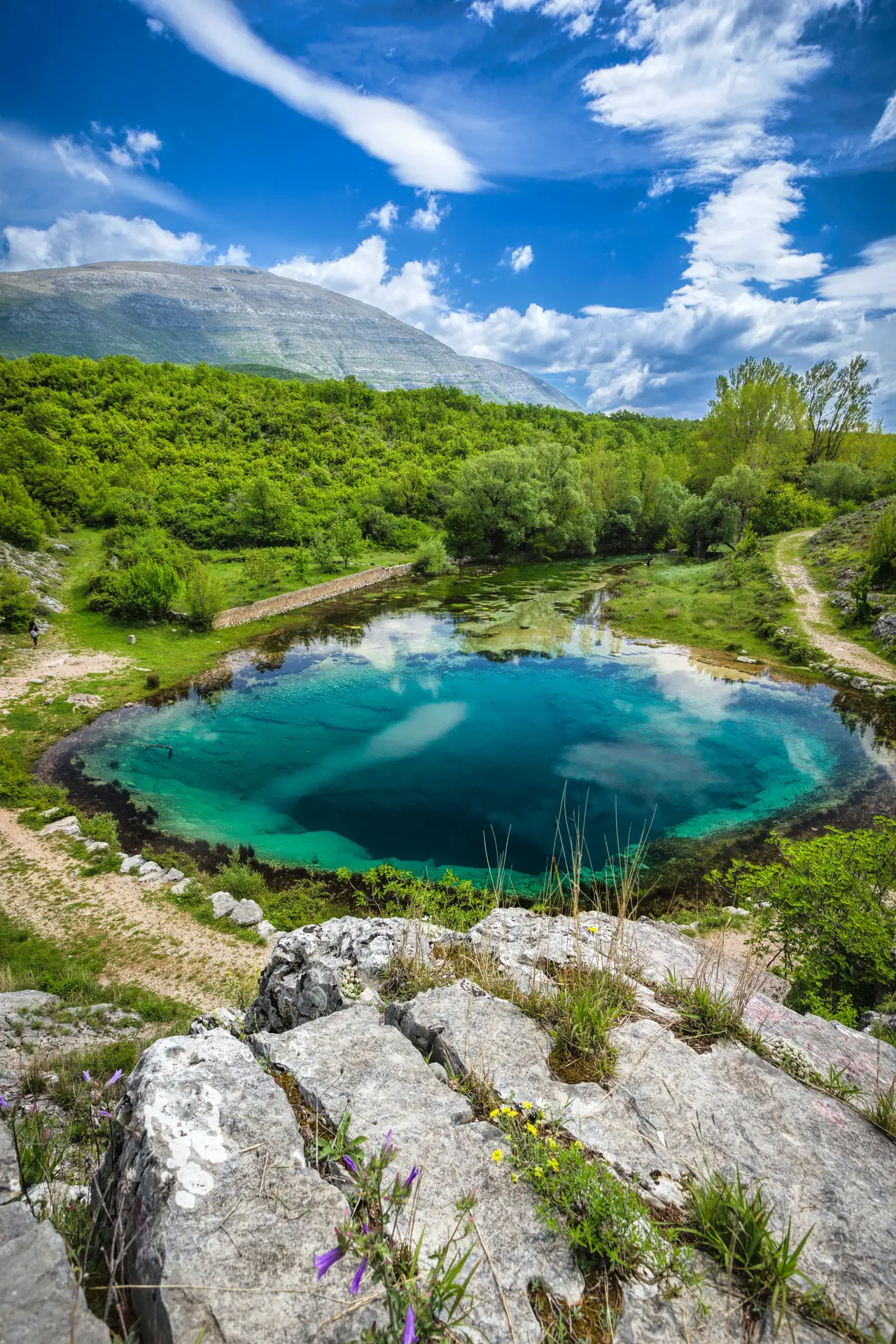 blue source of a river in nature surrounded by greenery and rocks