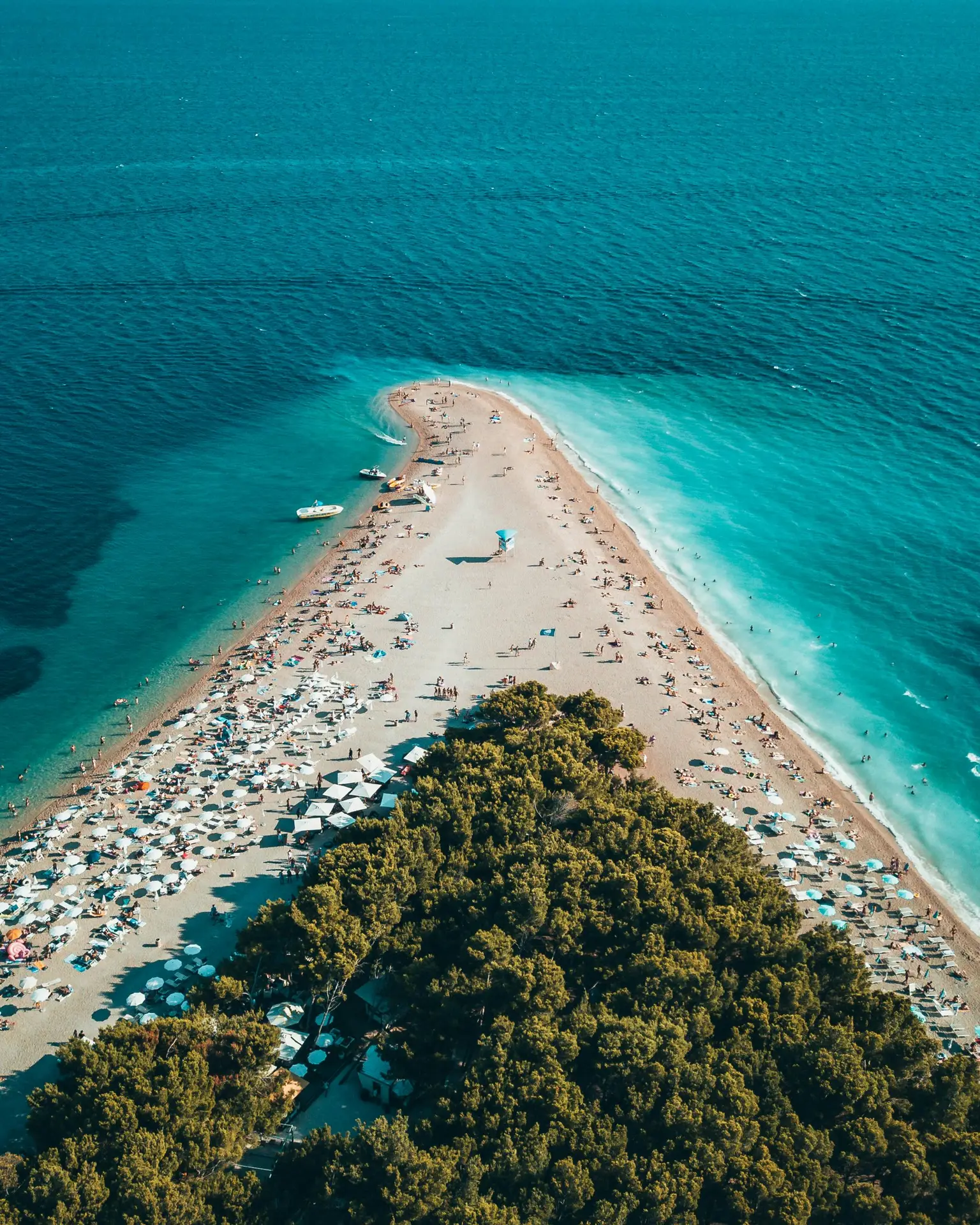 aerial view of a beach and wood trres in the middle