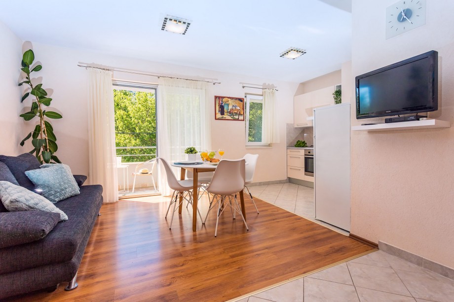 Kitchen and living area in AP1 with balcony