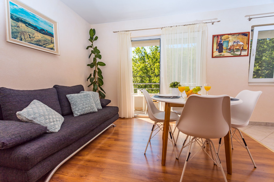 Kitchen and living area in AP1 with balcony
