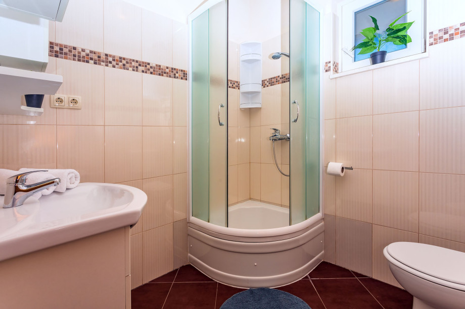 Bathroom with toilet, bidet and shower in AP1