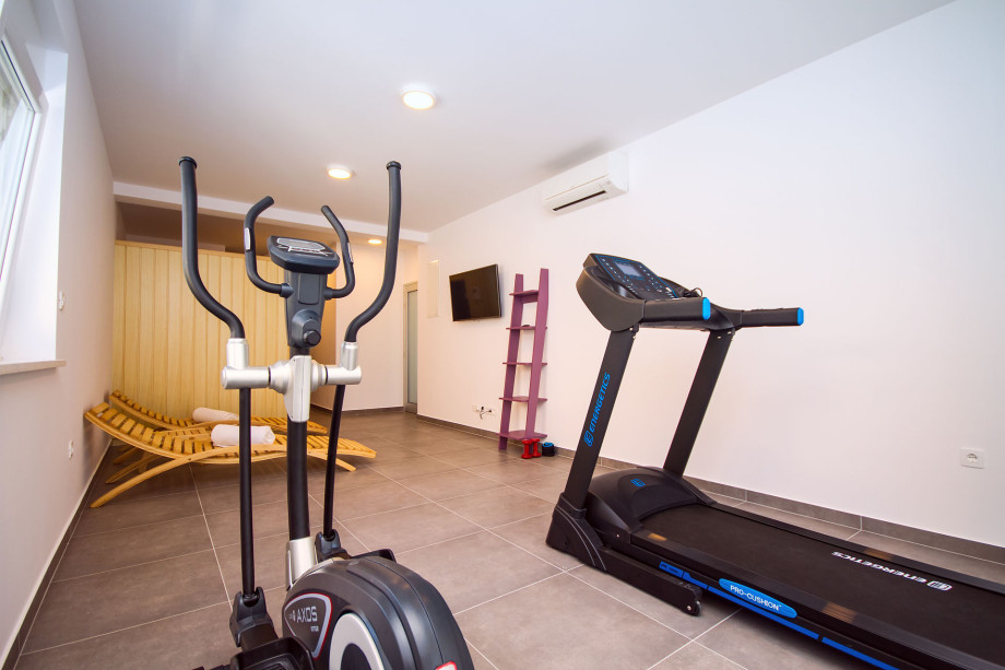 Sauna, orbitrack, treadmill and two deck chairs