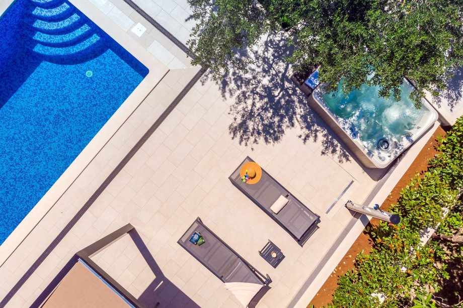 The pool surrounded by olive trees, Mediterranean plant