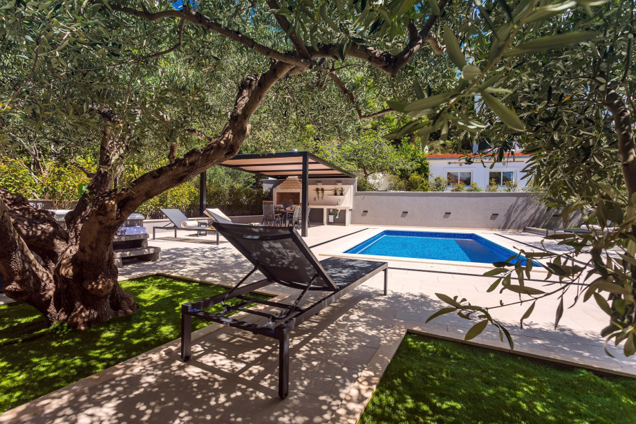 Mediterrane olive trees around the pool give this place special beauty