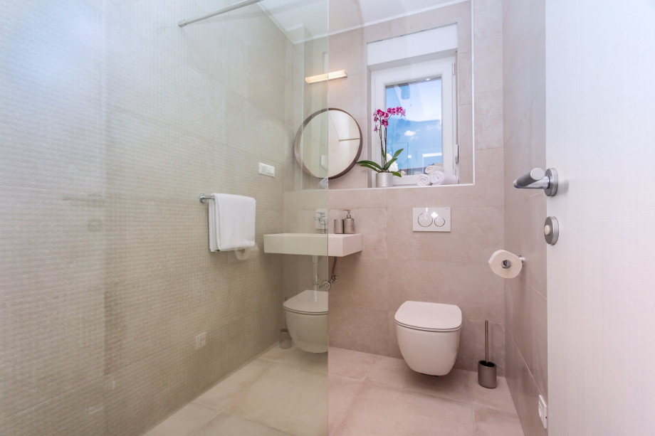 Bathroom with shower in the hallway between Bedroom No6 and No7 (ground floor)