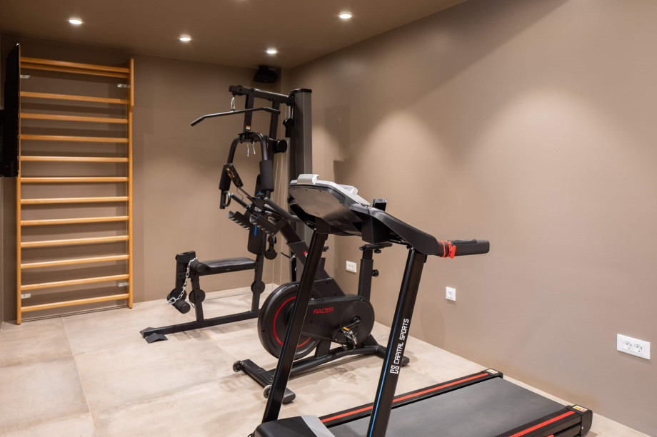 Gym with a Multifunctional workout machine, Treadmill, and a Stationary Bicycle