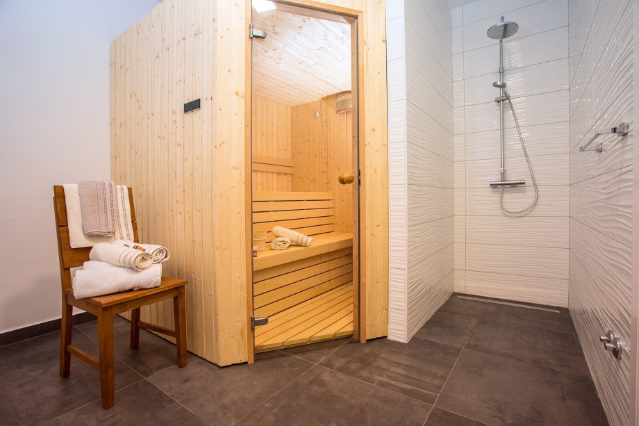 Sauna with bathroom with shower