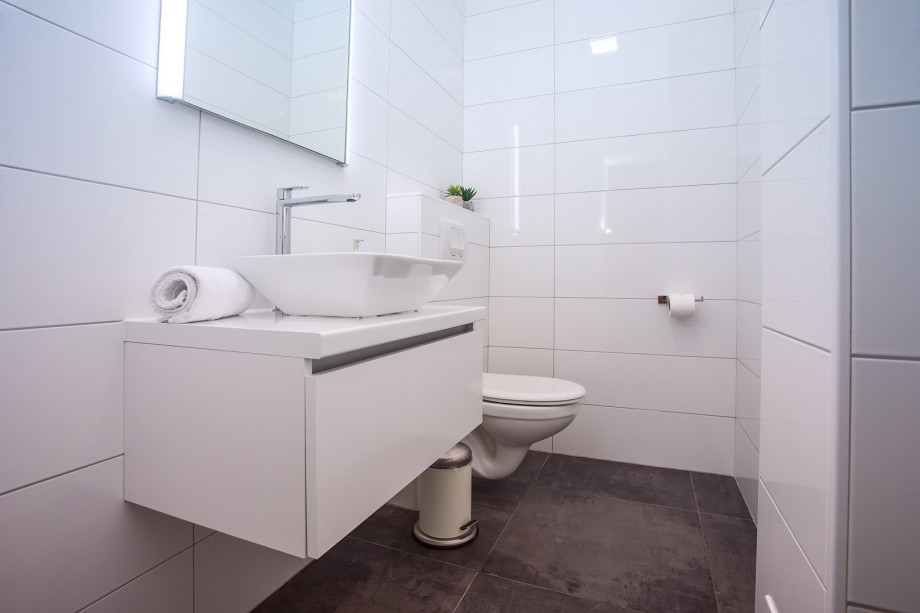 Toalet in the lower ground floor