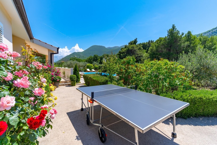 Outdoor area with dart and table tennis