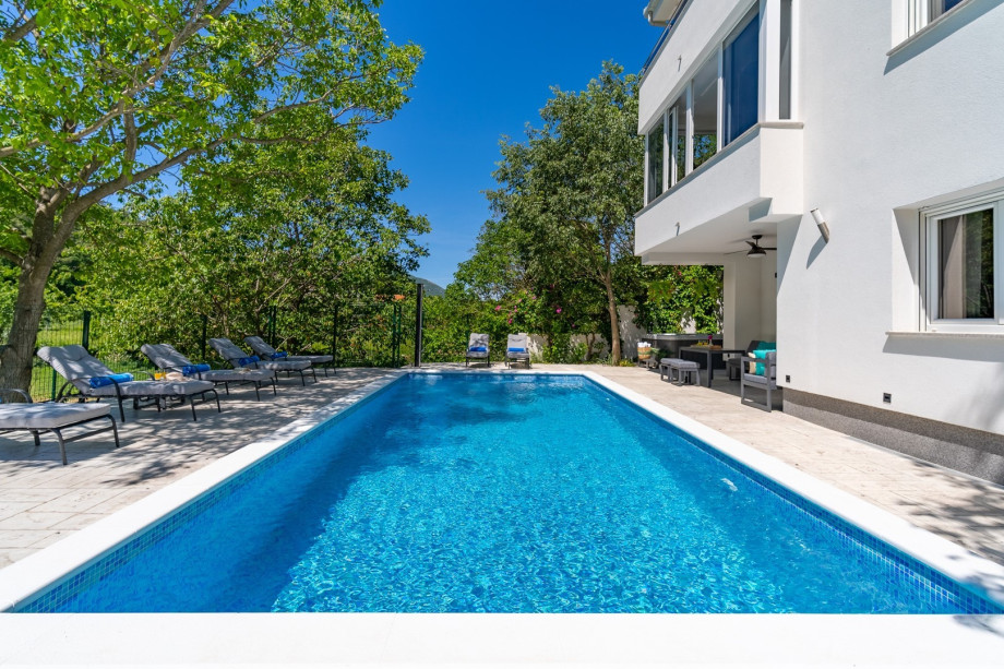 The outdoors is filled with natural shade.