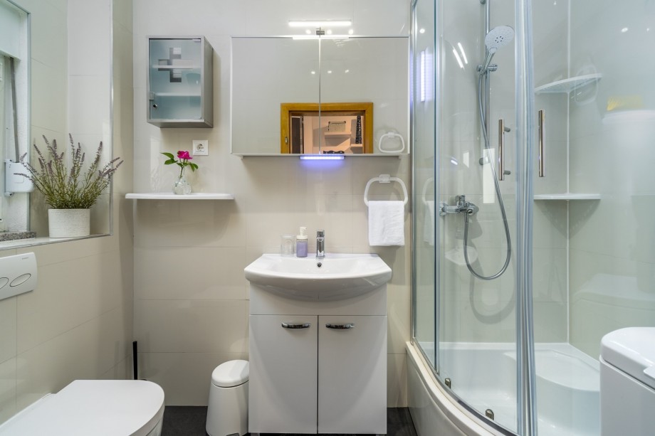 A familiy bathroom with a shower.