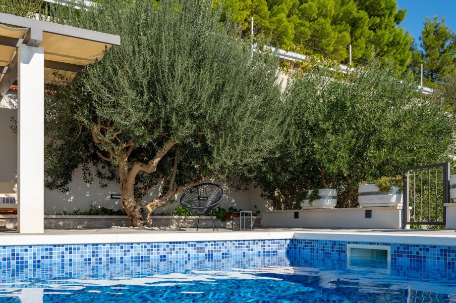 Ideal location for a calming vacation in this unspoiled nature