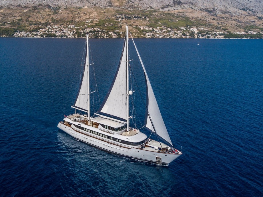 MS OMNIA