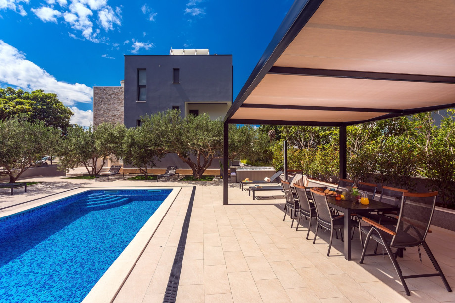 The pool surrounded by olive trees, Mediterranean plant