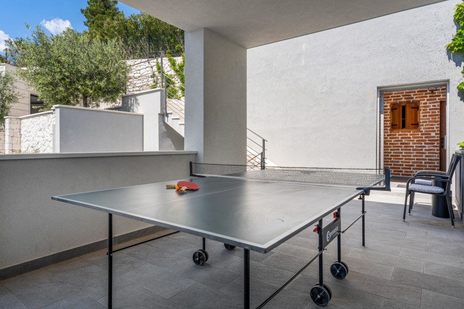 Table tennis on the top level for showing your skills ;-)