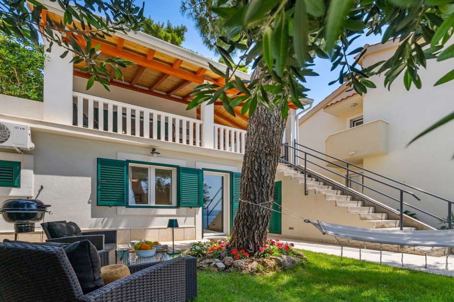 The views of the sea and the grass plot with a pine tree.