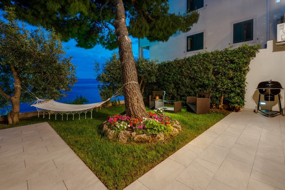 The views of the sea and the grass plot with a pine tree.