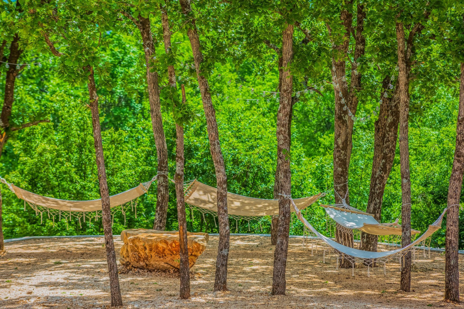 Area with hammocks under the shade of oak trees
