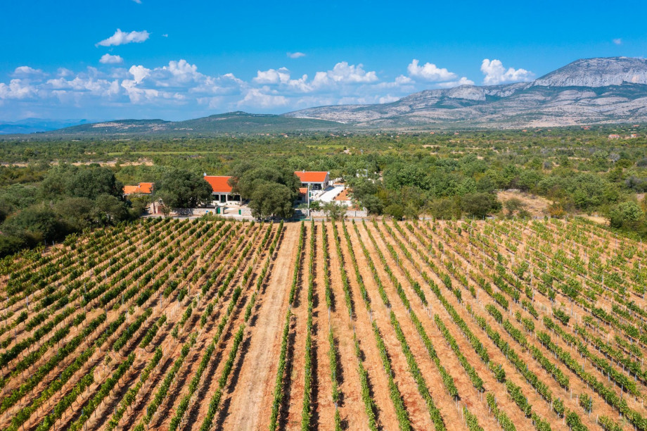 Car is necessary as then you can feel more free to explore the neighborhood and the nearby attractions