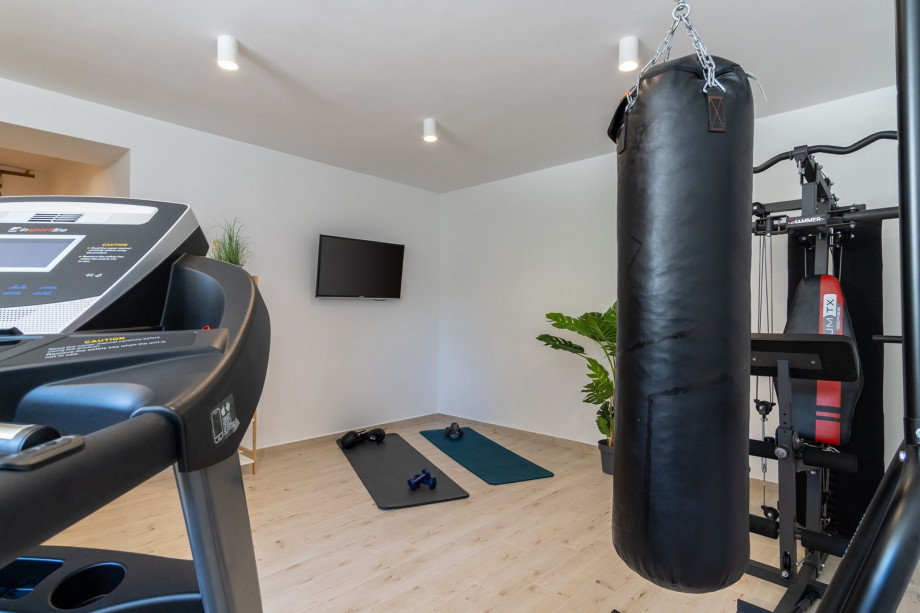 Gym with a Treadmill, Multi-Station Weight Bench, Weights and TV