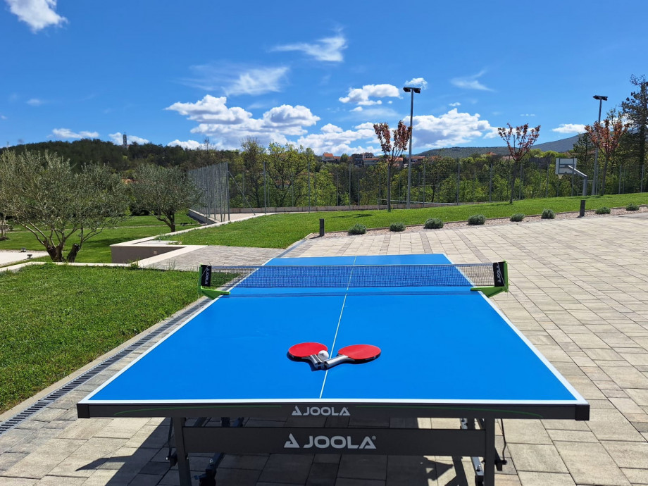 Table tennis is a fun game that anyone can enjoy. It’s easy to learn, there are opportunities for all age groups, and it’s great for fitness