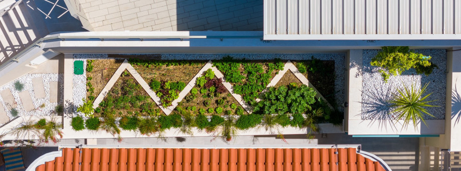 You can enjoy the seasonal organic vegetables that  the owner has planted for you