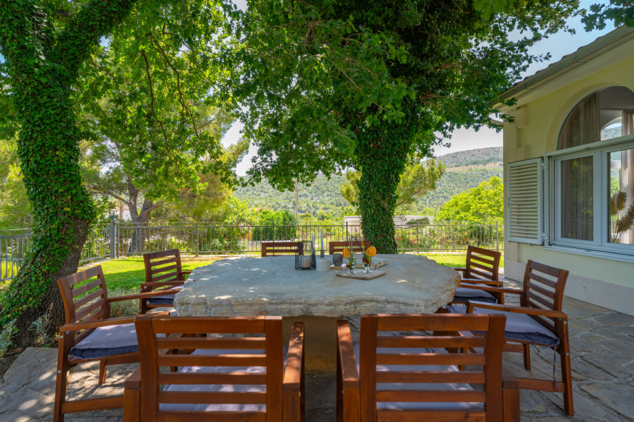 Unique stone table under the old oak trees, fenced