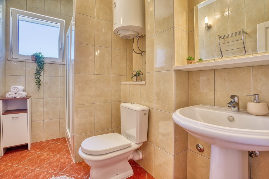 A family bathroom with a shower (ground floor)