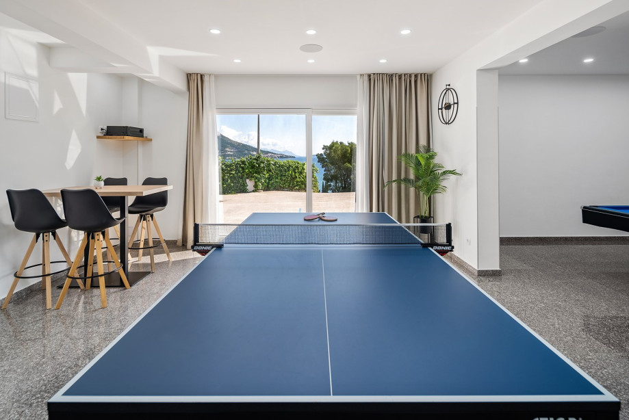 Billiards, darts, table tennis, kitchenette and toilet