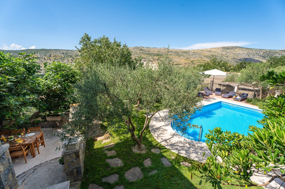 The pool area and outdoor dining area under the figs and olives threes
