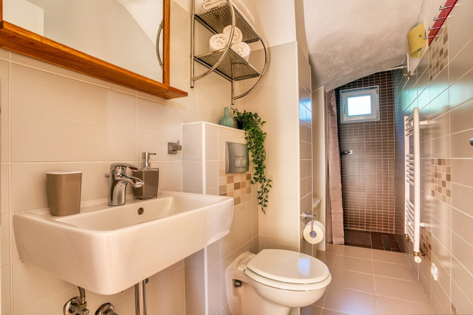 Bathroom (first floor) with a shower, a toilet and a washing machine