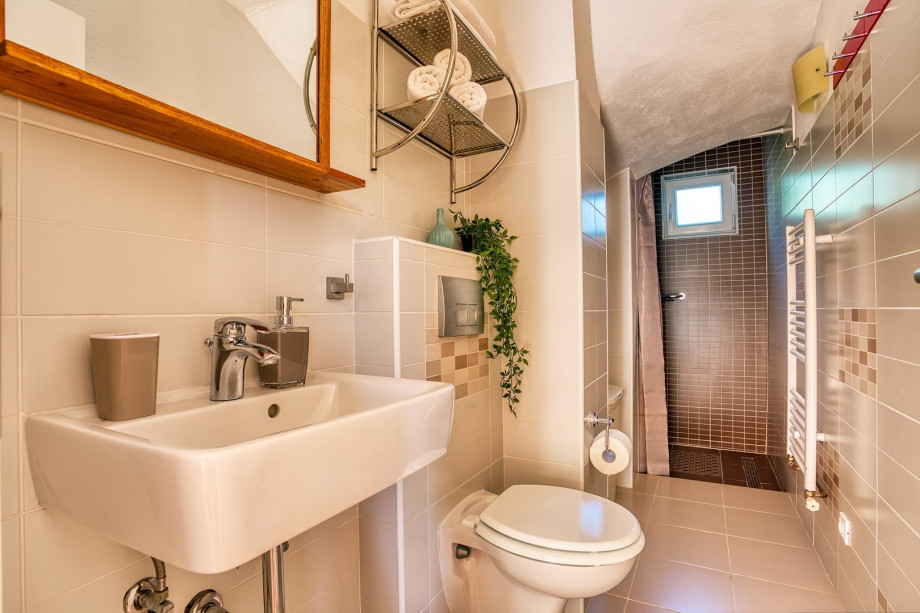 Bathroom (first floor) with a shower, a toilet and a washing machine