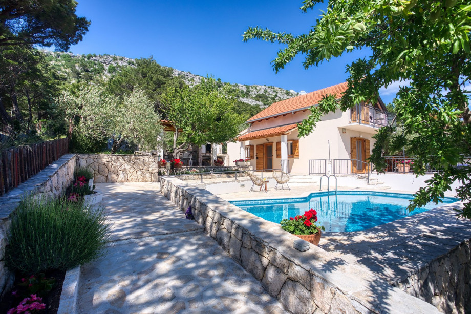 The garden with olive trees offers a Dalmatian atmosphere