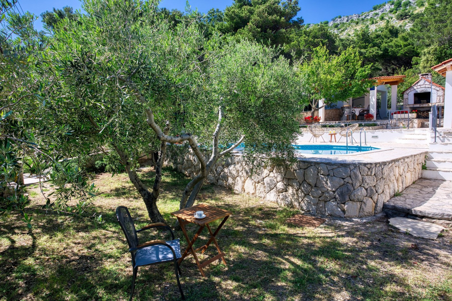 Amazing rural environment makes your stay more relaxed