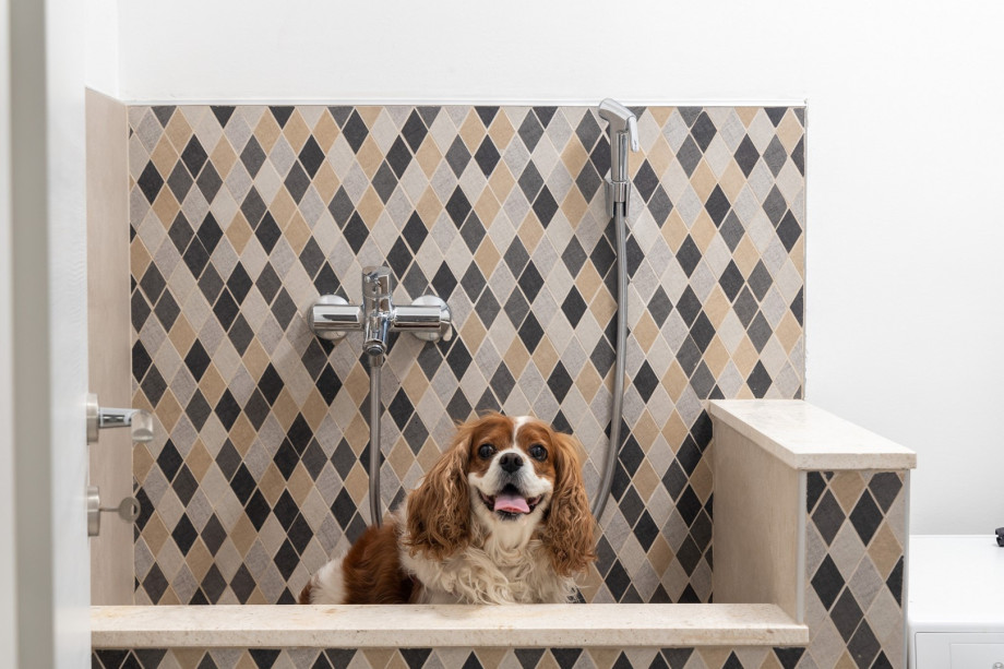 At your disposal you have a dog washing station that can be very useful