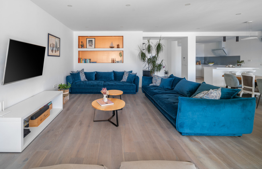 A spacious living room with two comfortable and stylish sofas