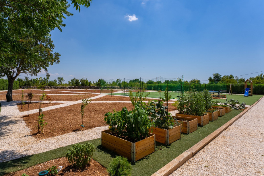 Come and taste the unspoiled and easy way of living in Dalmatia