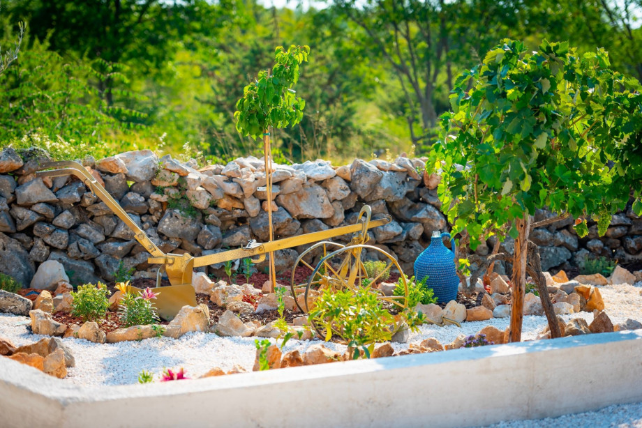 There is small organic garden nicely arranged so you can walk along this property enjoying all offered