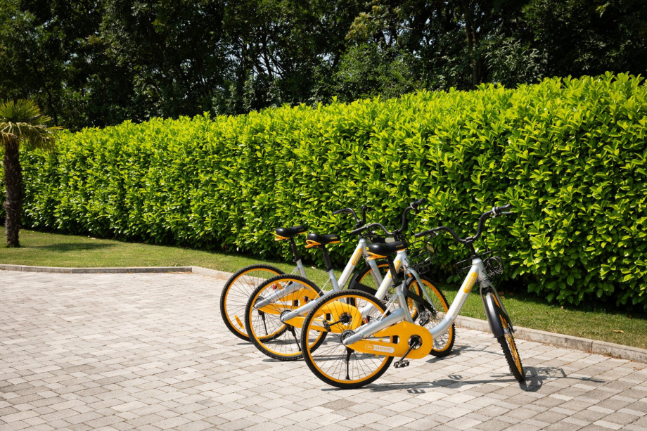 3 bikes for your use