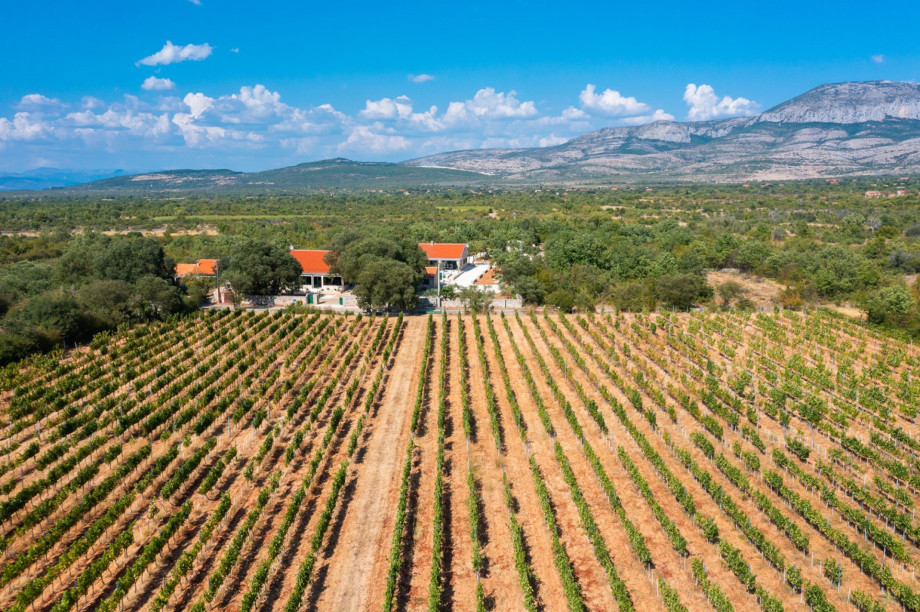 Car is necessary as then you can feel more free to explore the neighborhood and the nearby attractions