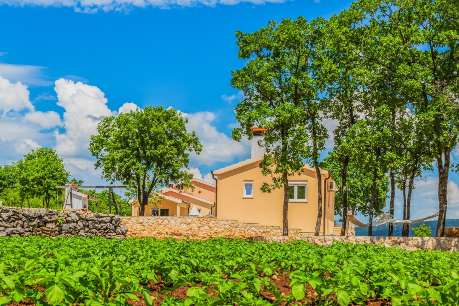 Organic garden with seasonal vegetable like tomatoes, cucumbers, zucchini...