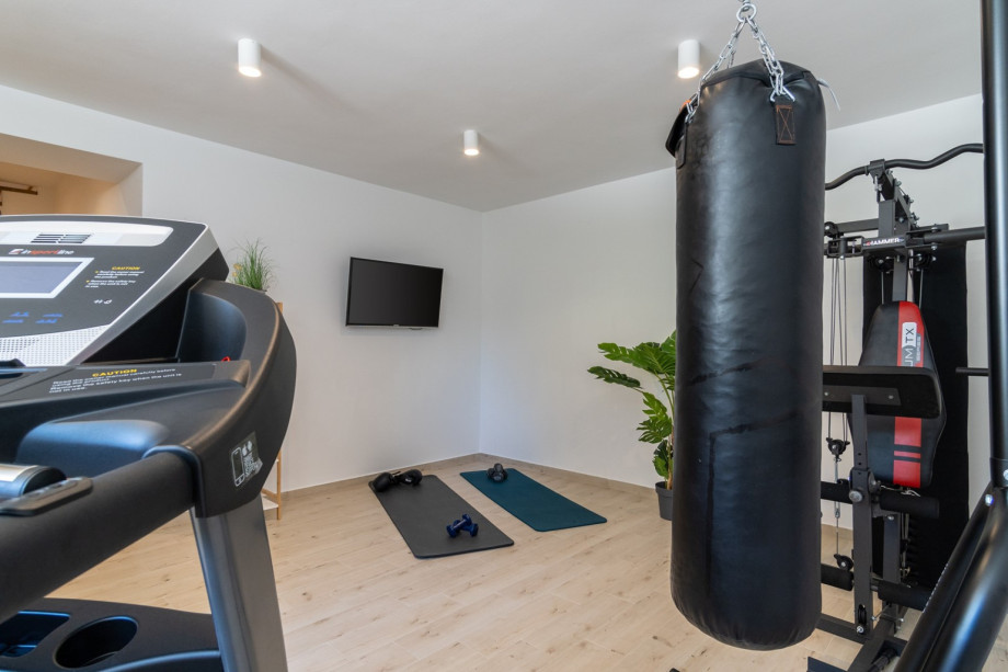 Gym with a Treadmill, Multi-Station Weight Bench, Weights and TV