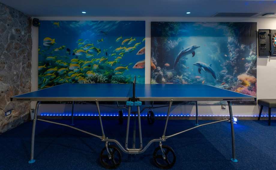 Spacious media room with a PlayStation,a table tennis and lots of toys for the youngest