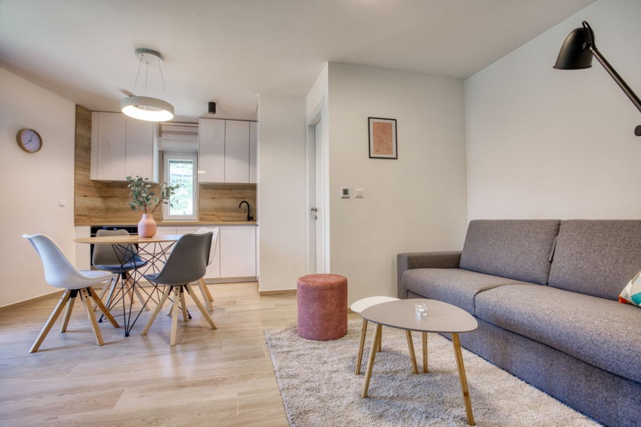 a fully equipped kitchen, dining area, a living room with a sofa (that converts into a sofa bed), TV, free WiFi, A/C