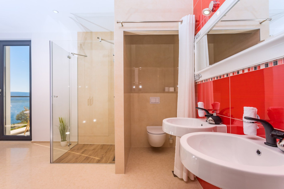 Walk-in bathroom with shower connected to the bedroom No3 (transparent)