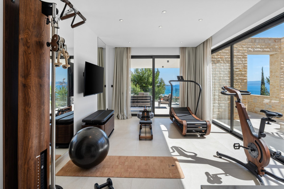 Gym includes Sprintbok self-propelled treadmill, SlimBeam multifunctional trainer with additional handles and monitor, NOHrD bicycle, WaterRower rowing ergometer, and StepBox