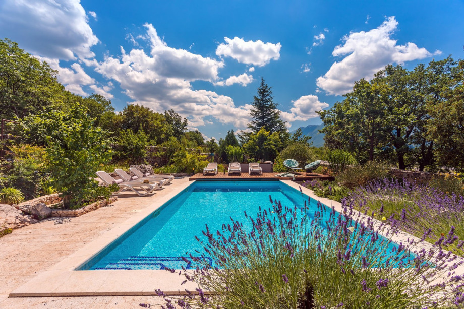 Heated pool with massage, geyser, anti-current swimming and lights in  colors