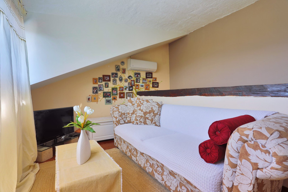 a gallery with a sofa, DVD, TV, and air-conditioning