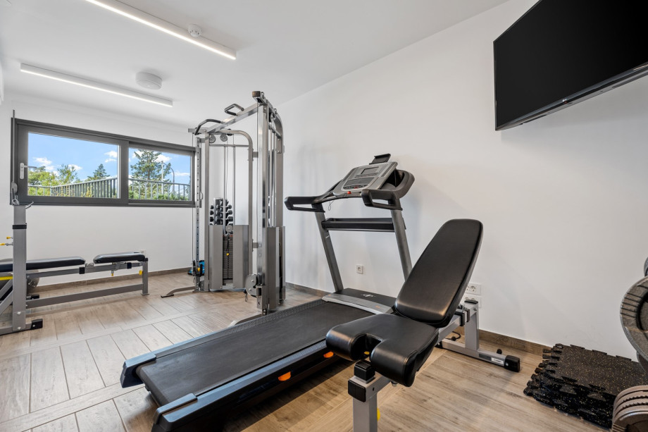 Gym at lower ground floor with few devices and TV